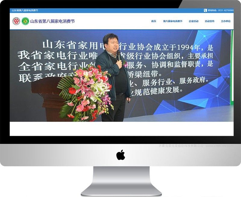 山東省第八屆家電消費節,濟南網站建設